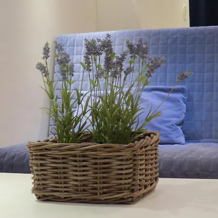 Apartamento Apartament Senatorska *
